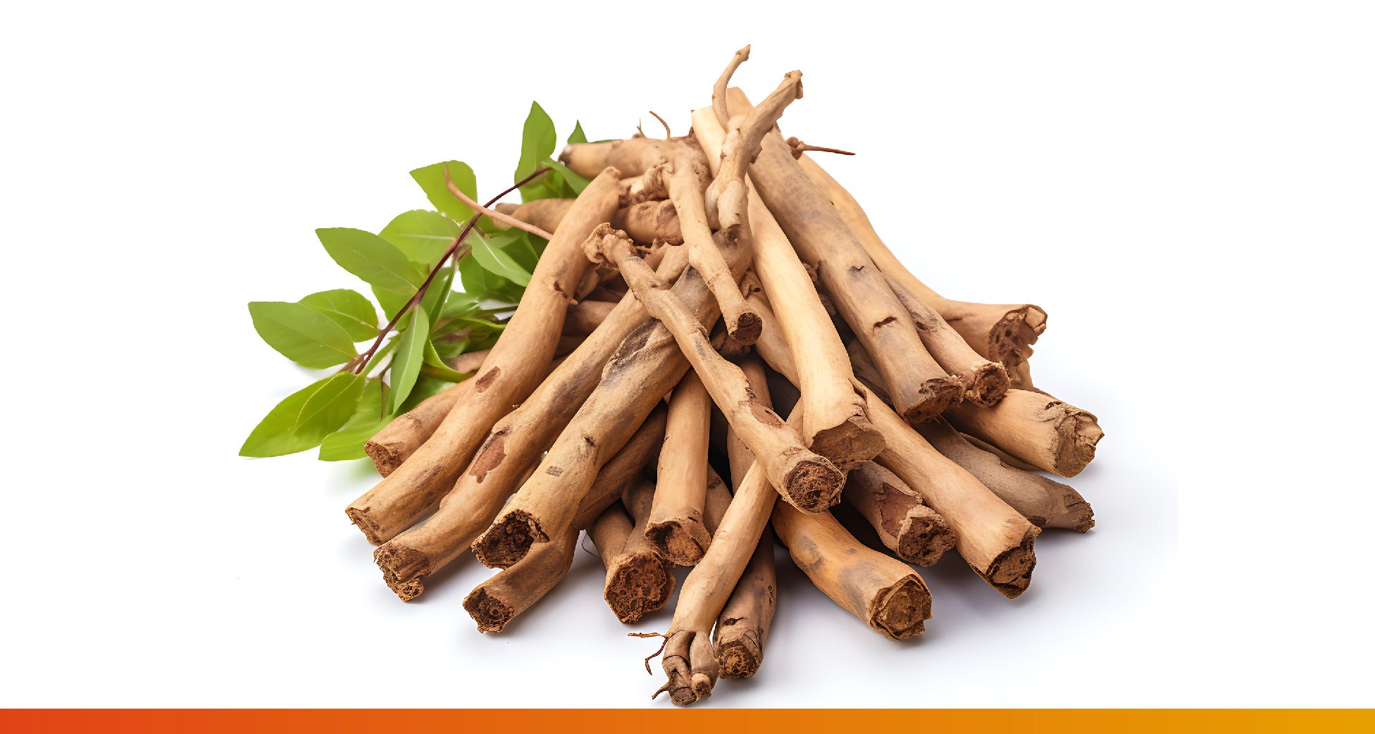 Ashwagandha: A Natural Stress Solution for Kids