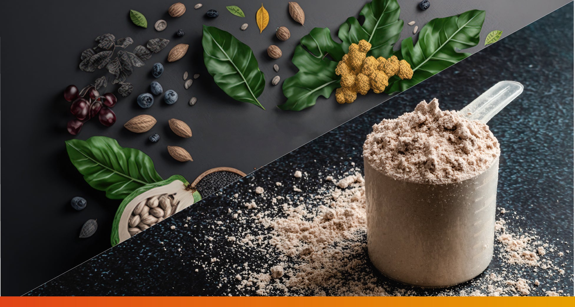 Plant Protein vs. Whey Protein: Which is Better for You?